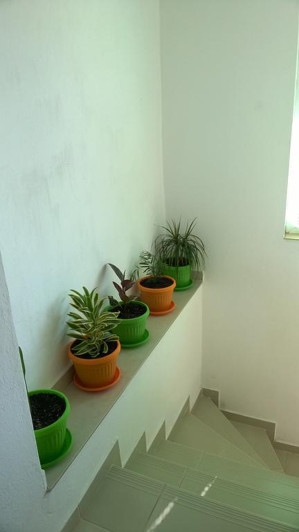Summer Sz Guest House Созопол Екстериор снимка
